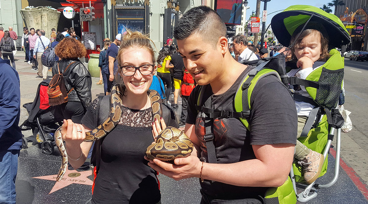 Serpent sur Hollywood Boulevard Maman Dream