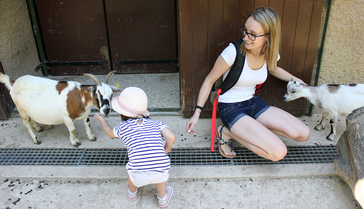 Ferme zoo Toulouse Maman Dream