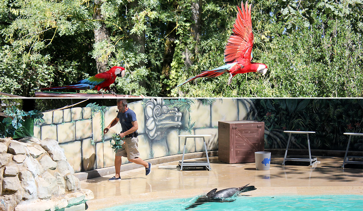 Spectacle zoo Toulouse Maman Dream